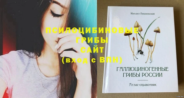 марки nbome Белокуриха