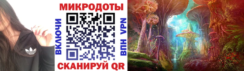 Псилоцибиновые грибы ЛСД  Короча 